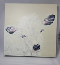 White calf white for sale  Watertown