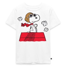 Peanuts snoopy pilot gebraucht kaufen  Leipzig