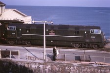 dawlish for sale dawlish for sale SOMERTON
