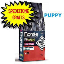 Monge cane crocchetta usato  San Felice Circeo