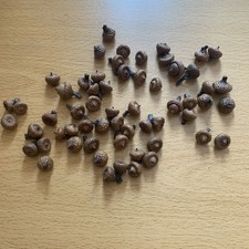 Mini acorns crafting for sale  TAUNTON