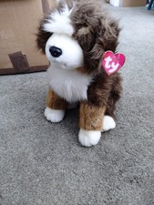 Mugsy brown white for sale  ROTHERHAM