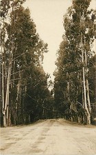 1910s rppc postcard for sale  Redding
