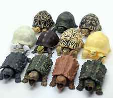 Boneco Bandai Gashapon tartaruga tartaruga realista 3 a 4 polegadas direto do Japão comprar usado  Enviando para Brazil