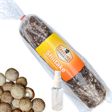 Shiitake mushroom grow d'occasion  Expédié en Belgium