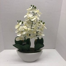 Phalaenopsis silk white for sale  Terre Haute