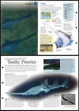 Sawfish fish discovering for sale  SLEAFORD