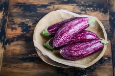 100 samen aubergine gebraucht kaufen  Frammersbach