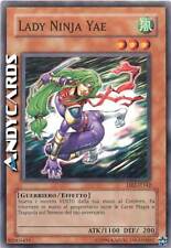 Lady ninja yae usato  Ravenna