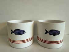 Plant pots indoor for sale  LLANELLI