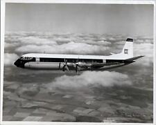 Bea british european for sale Bea british european for sale  BRIGHTON