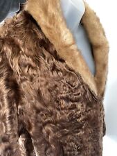 Vtg persian curly for sale  Lakewood