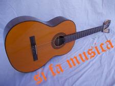 Takamine g124 chitarra usato  Penne