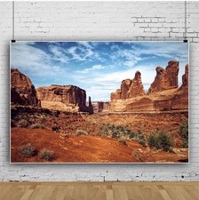 10x8ft desert backdrop for sale  Lindsey