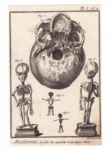 Gravure xviiie squelette d'occasion  Toulouse-