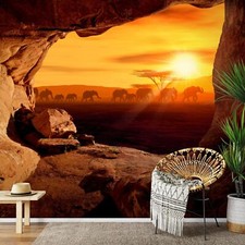 Fototapete afrika elefanten gebraucht kaufen  Berlin