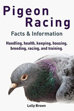Pigeon racing handling for sale  UK