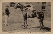 Cpa orne haras d'occasion  Aigues-Mortes