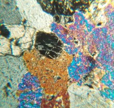 Pyroxenite fidalgo island for sale  Los Angeles