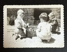 Vintage photograph little for sale  Pahoa