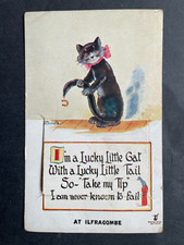 Postcard mailing novelty for sale  NORWICH