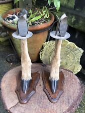 Vintage scottish stag for sale  PETERBOROUGH