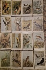bird postcards for sale bird postcards for sale  LUTTERWORTH