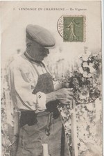 Cpa vendanges champagne d'occasion  Monthureux-sur-Saône