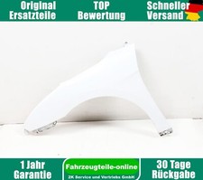 Kotflügel seitenwand vorn gebraucht kaufen  Eilenburg