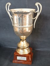 trofeo coppa usato trofeo coppa usato Italia
