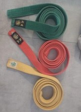 Cintura judo karate usato  Carate Brianza