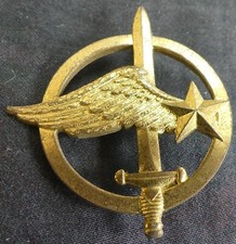 insigne beret commando d'occasion insigne beret commando d'occasion Expédié en Belgium
