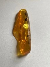 Baltic sea amber for sale  COVENTRY