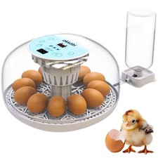 Okkobi m12 egg for sale  FLINT