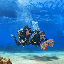 Dual motor underwater gebraucht kaufen  Versand nach Germany