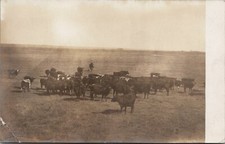 Postcard day nebraska for sale  Bowerston