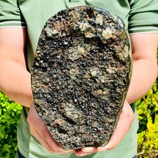 3.59lb natural ocean for sale  Burlington