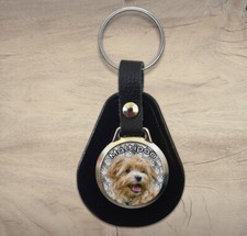 Maltipoo dog leather usato  Spedire a Italy