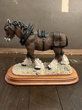 Fabulous shire horse for sale  PLYMOUTH