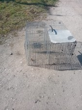 Larson magpie trap for sale  STAFFORD