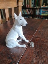 English bull terrier for sale  SHREWSBURY