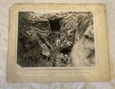 Ww1 official press for sale  Baltic