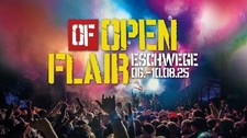 Pen flair festival gebraucht kaufen  Uslar