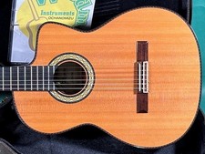 Takamine 300 PERSONALIZADO Usado 2018 Mogno Pescoço Ébano FB Natural com Estojo Rígido comprar usado  Enviando para Brazil