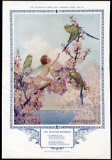 Fairy budgerigars parakeets for sale  Hemet