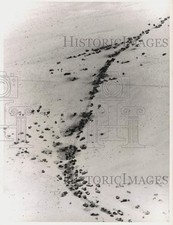 1967 press photo for sale  Memphis