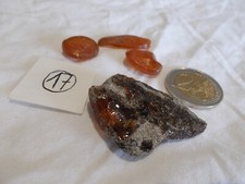 Fossiles.ambre.resine fossile. d'occasion  Sainte-Maxime