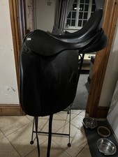 Stunning 17.5 black for sale  ATHERSTONE