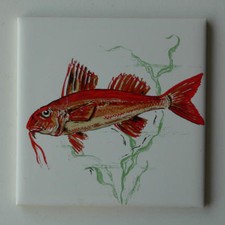 Carreau mural faience d'occasion Carreau mural faience d'occasion  Périgny