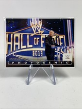 Bruno sammartino 2024 for sale  USA